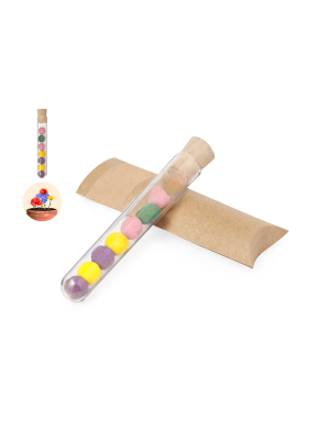 Set Bombónes Semillas Dinaclex