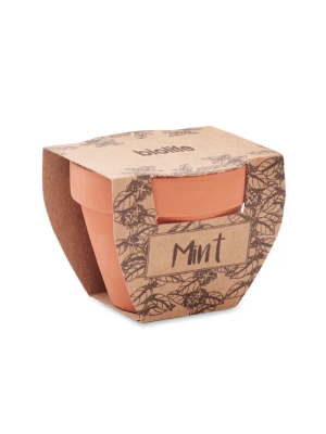MINT POT Maceta con semillas de menta