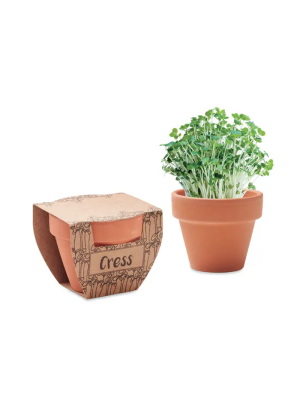 CRESS POT Maceta con semillas de berro