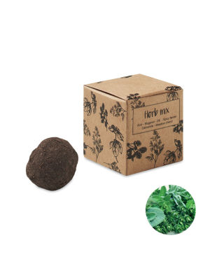 BOMBI III Kit de semillas de hierbas