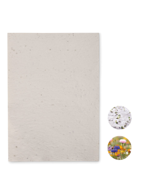 ASIDI Hoja A4 de papel con semillas