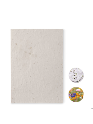 ASIDE Hoja A5 de papel con semillas