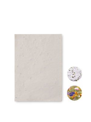 ASIDO Hoja A6 de papel con semillas