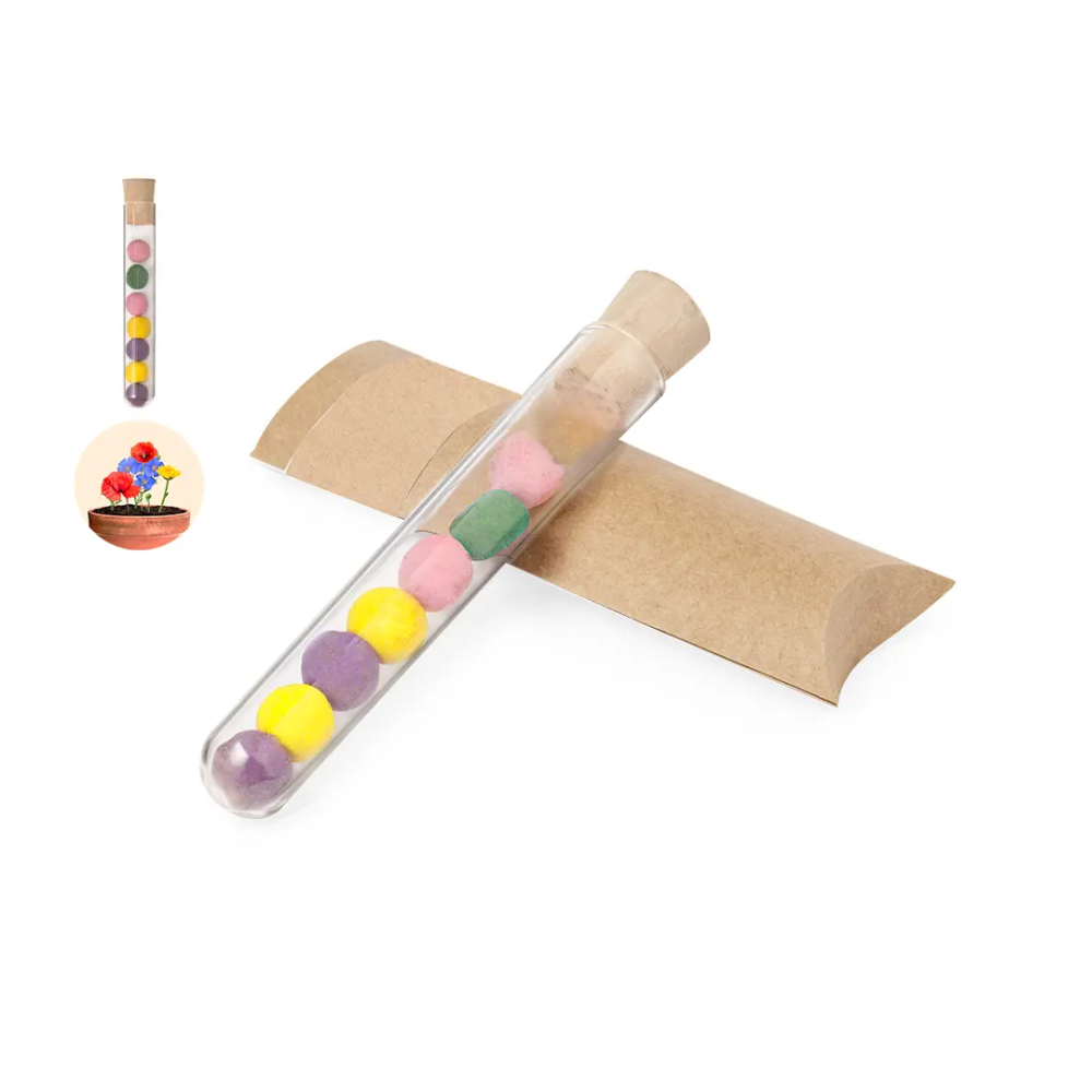 Set Bombónes Semillas Dinaclex