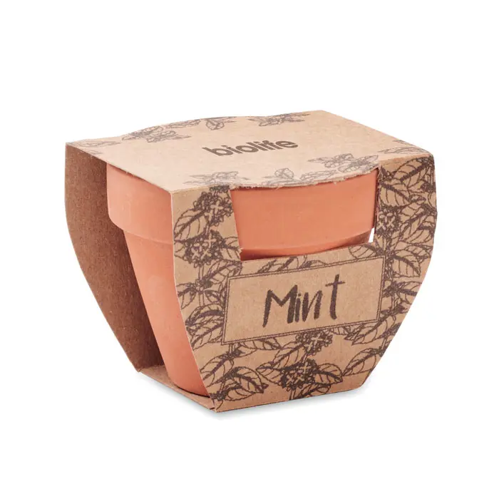 MINT POT Maceta con semillas de menta