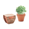 CRESS POT Maceta con semillas de berro vista 1